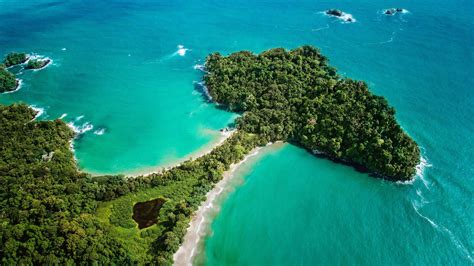 manuel antonio tripadvisor|The Ultimate Travel Guide to Manuel Antonio, Costa Rica.